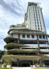 کندی میست بای سینامون کندی